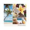 YANKEE CANDLE COCONUT BEACH SIGNATURE STŘEDNÍ