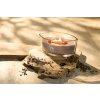 WoodWick Patchouli Créme svíčka loď