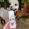 lama sprchovy gel web