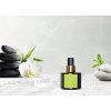 ZAZEN | bytový parfém ve spreji | PARFUMIA® PARFUM D'INTÉRIEUR | 100 ml