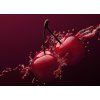 MIDNIGHT CHERRY | difuzér s FLOW květinou & tyčinkami | PARFUMIA® | 200 ml