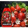 AQUATIX | Rostlinný koncentrát na nádobí LESNÍ JAHODY | 500 ml