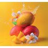 AQUATIX | Rostlinný koncentrát na nádobí MANGO | 500 ml
