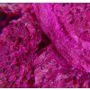 EXOTICKÁ PITAYA | lyofilizované plátky, ovoce sušené mrazem | 50 g