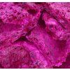 EXOTICKÁ PITAYA | lyofilizované plátky, ovoce sušené mrazem | 100 g