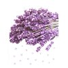 cz pim 377011001001 00