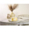 Nature's Wick Tumbler velký 3 knoty Wild Honey