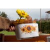 Květináč plechový 3ks set 190x90/225x110/260x135mm oválný slunečnice, bílá, žlutá, hnědá
