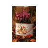 Květináč plechový s uchem 233x134mm motiv houby, barevná