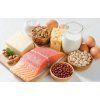 PROTEIN SUPREME | komplexní proteinový nápoj se Stevií, Inulinem a probiotikem LactoSpore®