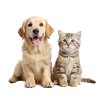 DEOTEX PETS | Praktický set pro domov plný mazlíčků | pohlcovač pachů & speciální tekutý prací prostředek s probiotiky | 500 ml + 525 ml
