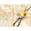 L'AVIVAGE FLEUR DE VANILLE | Avivážní kondicionér | 750 ml