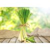 CITRONELLA INSECTOFF | parfémová esence do aromalamp & difuzérů | přírodní citronella | 100 ml