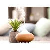 CITRONELLA INSECTOFF | parfémová esence do aromalamp & difuzérů | přírodní citronella | 100 ml