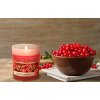 WILD CRANBERRY | sójová vonná svíčka | PARFUMIA® | 250 ml