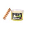 CITRONELLA INSECTOFF | venkovní sójová svíčka | 2 knoty | PARFUMIA® | 400 ml