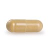 OSTROPESTŘEC EXTRAKT 510 mg | 80 % silymarinu | zdravá játra, trávení a detoxikace | 90 kapslí | 54,9 g