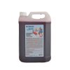 AGIBERIA Icy Fruity Sirup příchuť jahoda 5 l