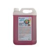 AGIBERIA Icy Fruity Sirup příchuť meloun 5 l