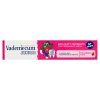 Vademecum junior 6+ zubní pasta Strawberry Taste 75ml